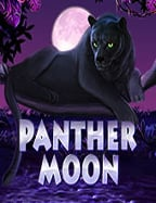 รีวิวการสมัคร jack88 พร้อมสูตรเด็ดทำกำไร